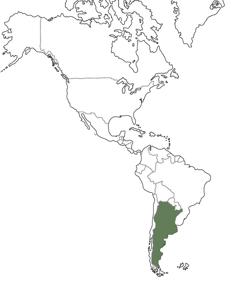 argentina
