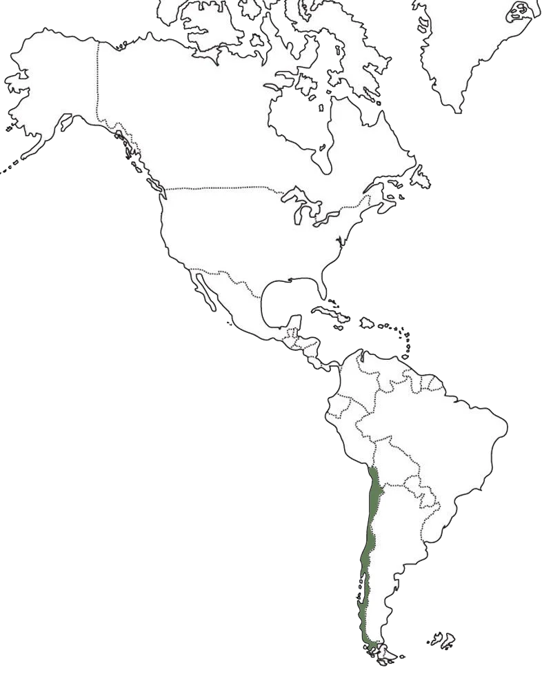Chile