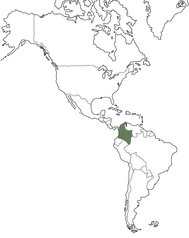 colombia