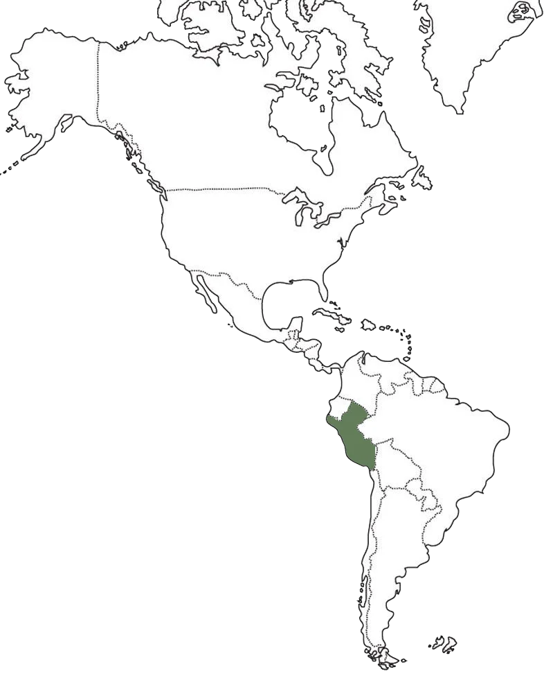 peru