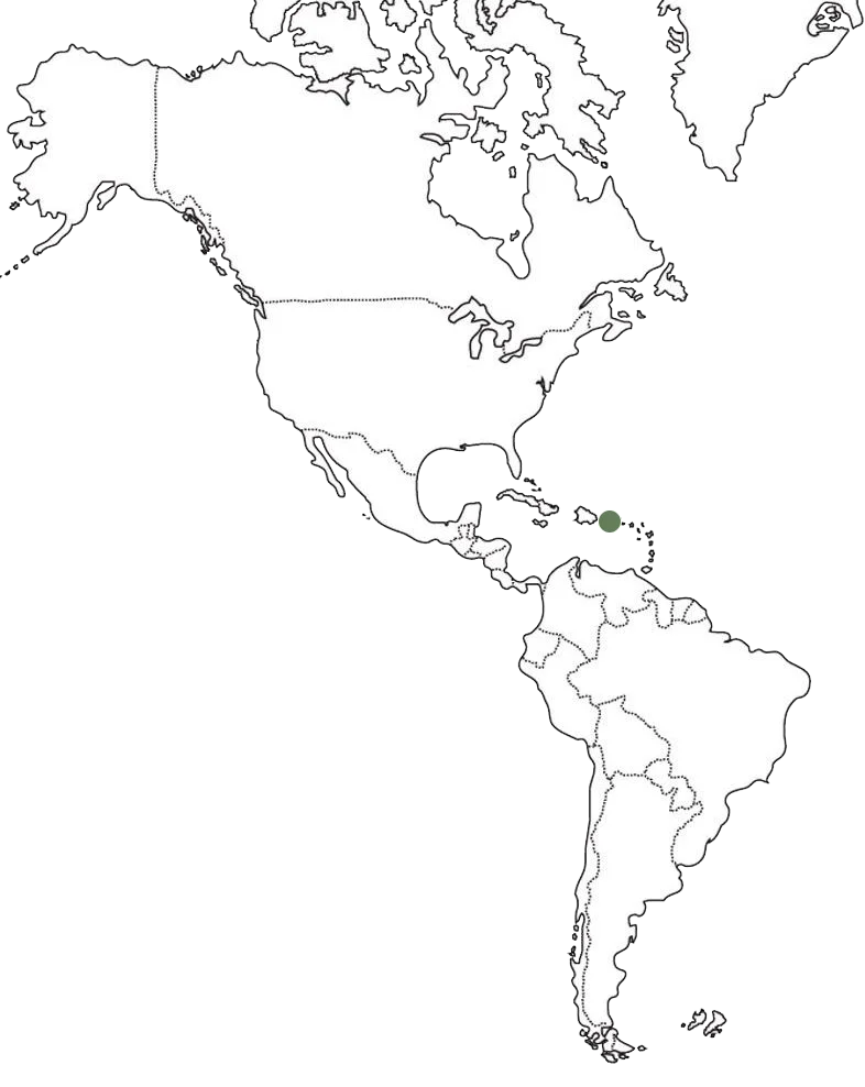 puerto rico