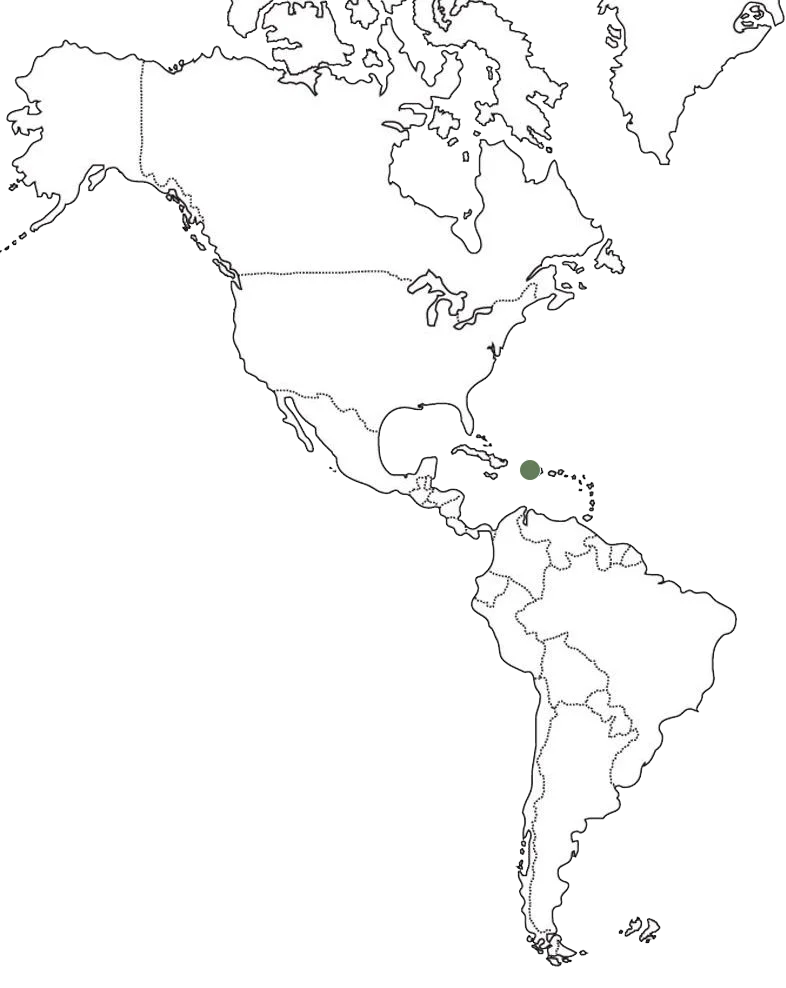 republica dominicana