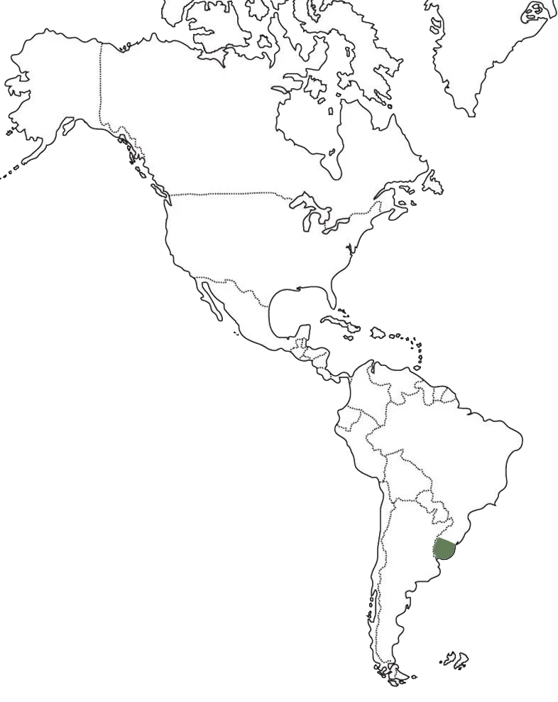 uruguay