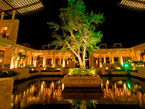 Banyan tree mayakoba