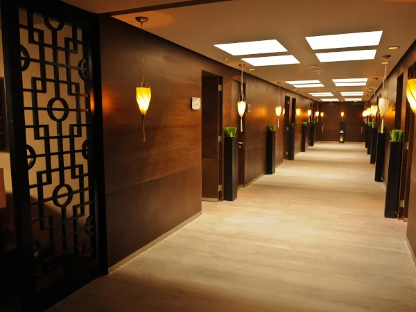 YHISpa