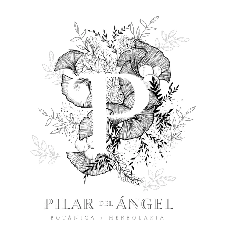 Pilar del Ángel